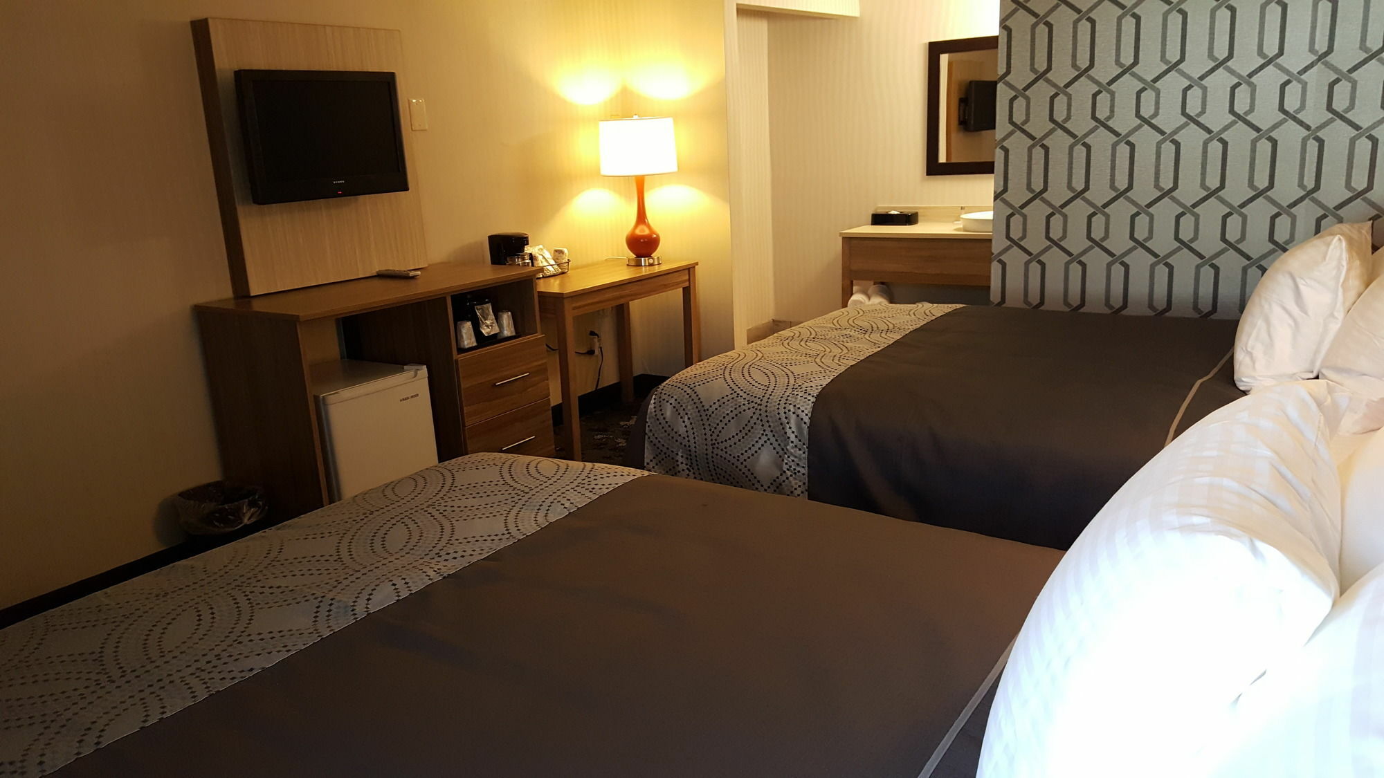 לוויסטון Aartpark Hotel Inn At Lewsiton מראה חיצוני תמונה